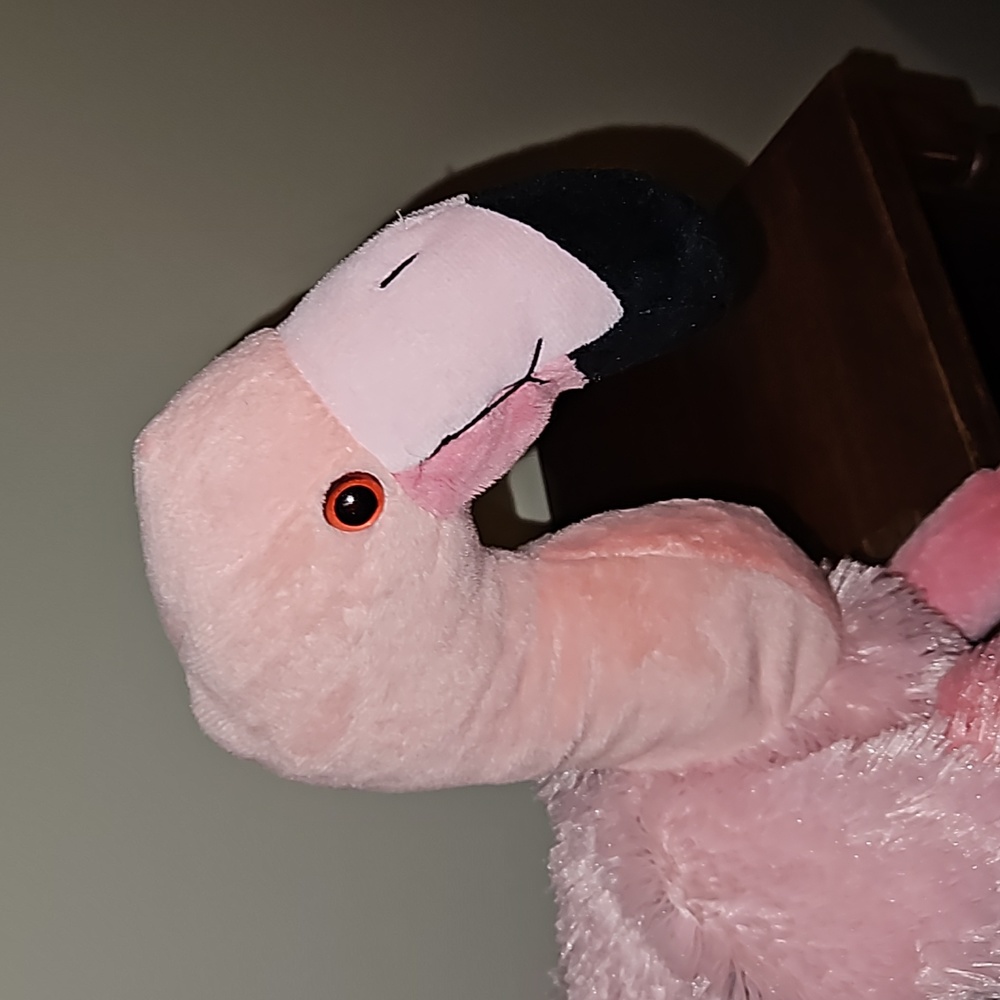 Flamingo - Picture 2 of 5